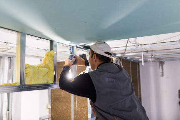 Professional Insulation in Indiana, PA